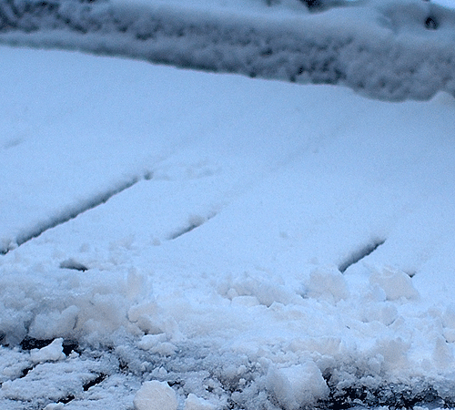 長崎の積雪