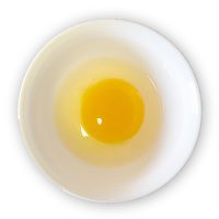 土佐ジローの卵